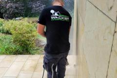 WhatsApp-Image-2022-09-15-at-18.52.15